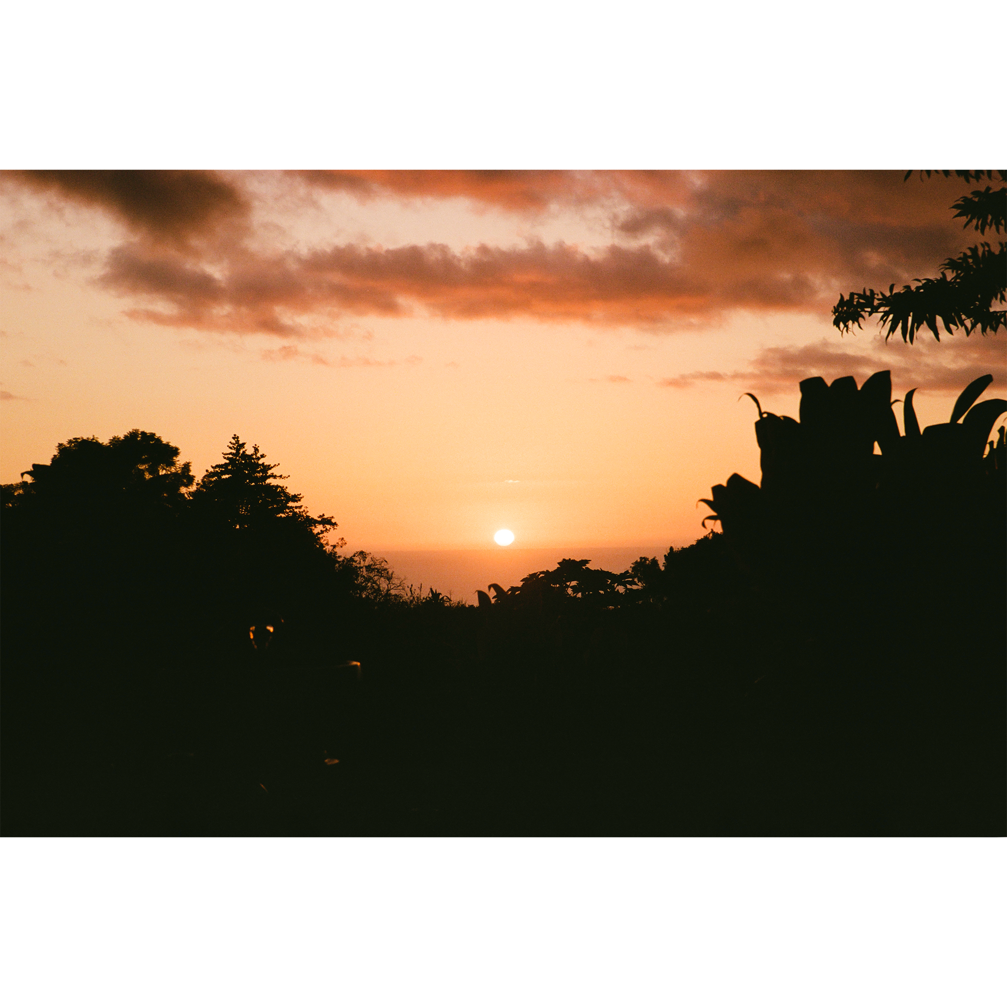 Big Island Sunset