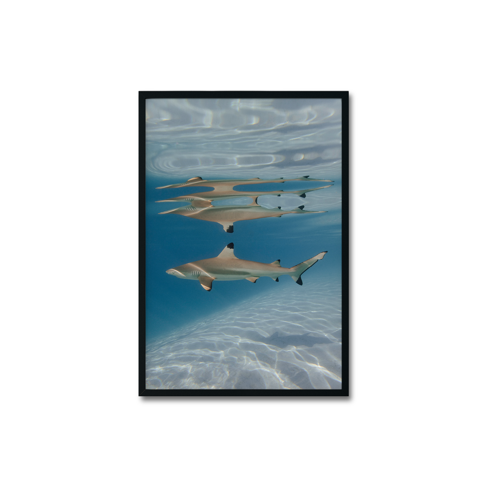 Black tip mirror