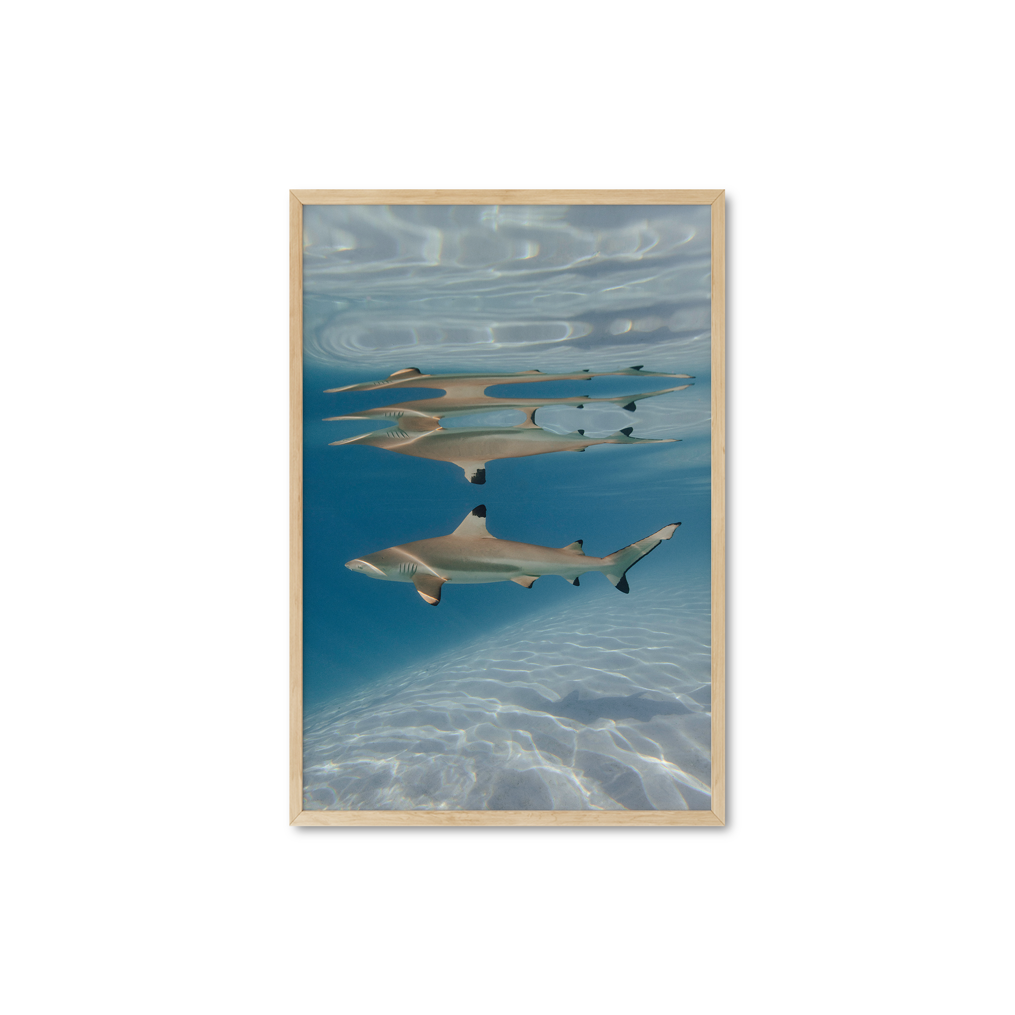 Black tip mirror