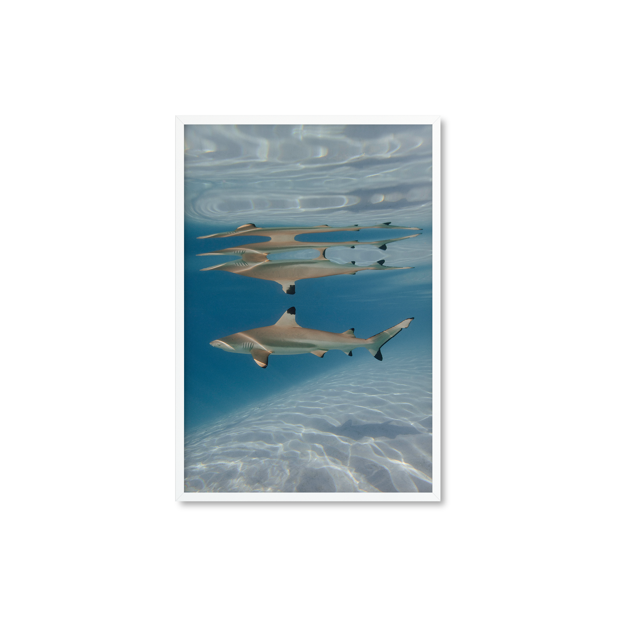 Black tip mirror