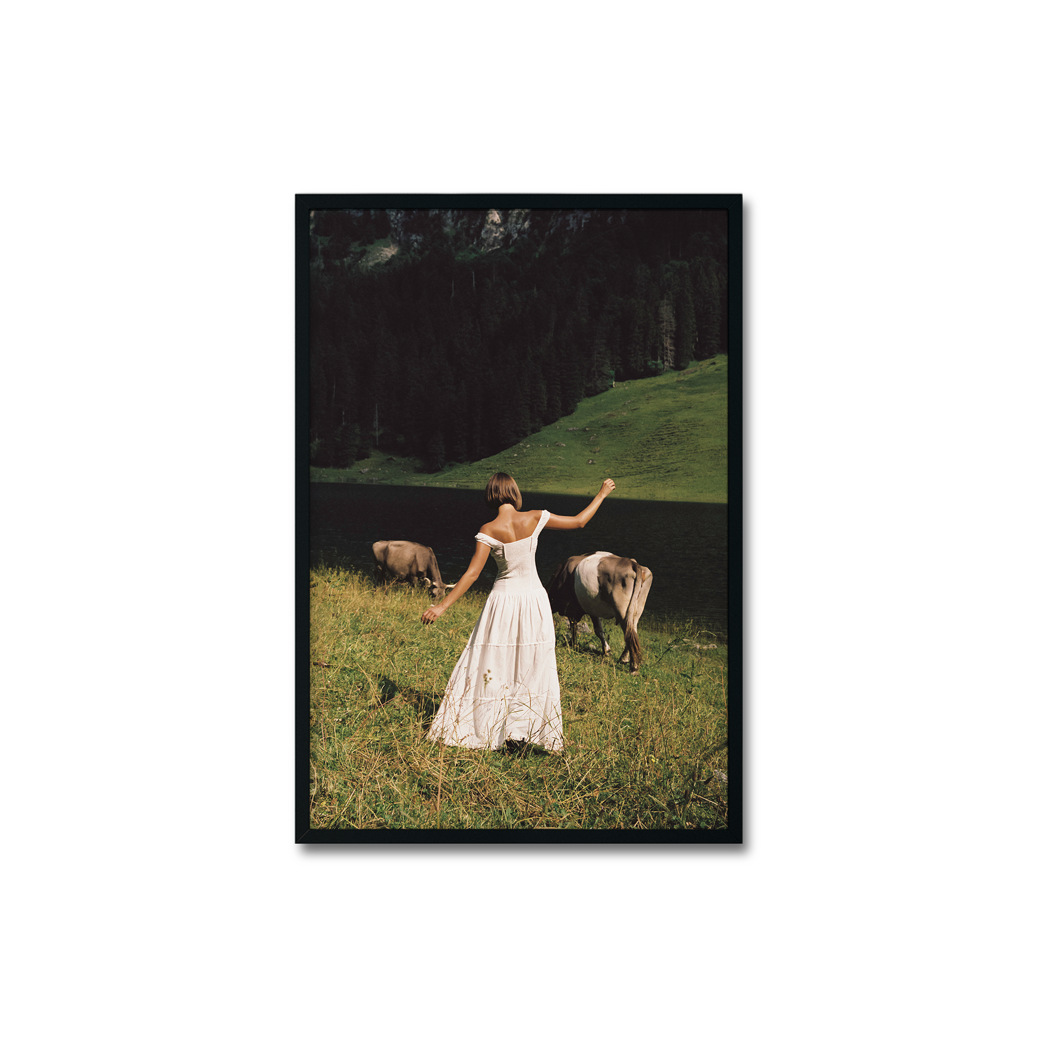 In the Meadow