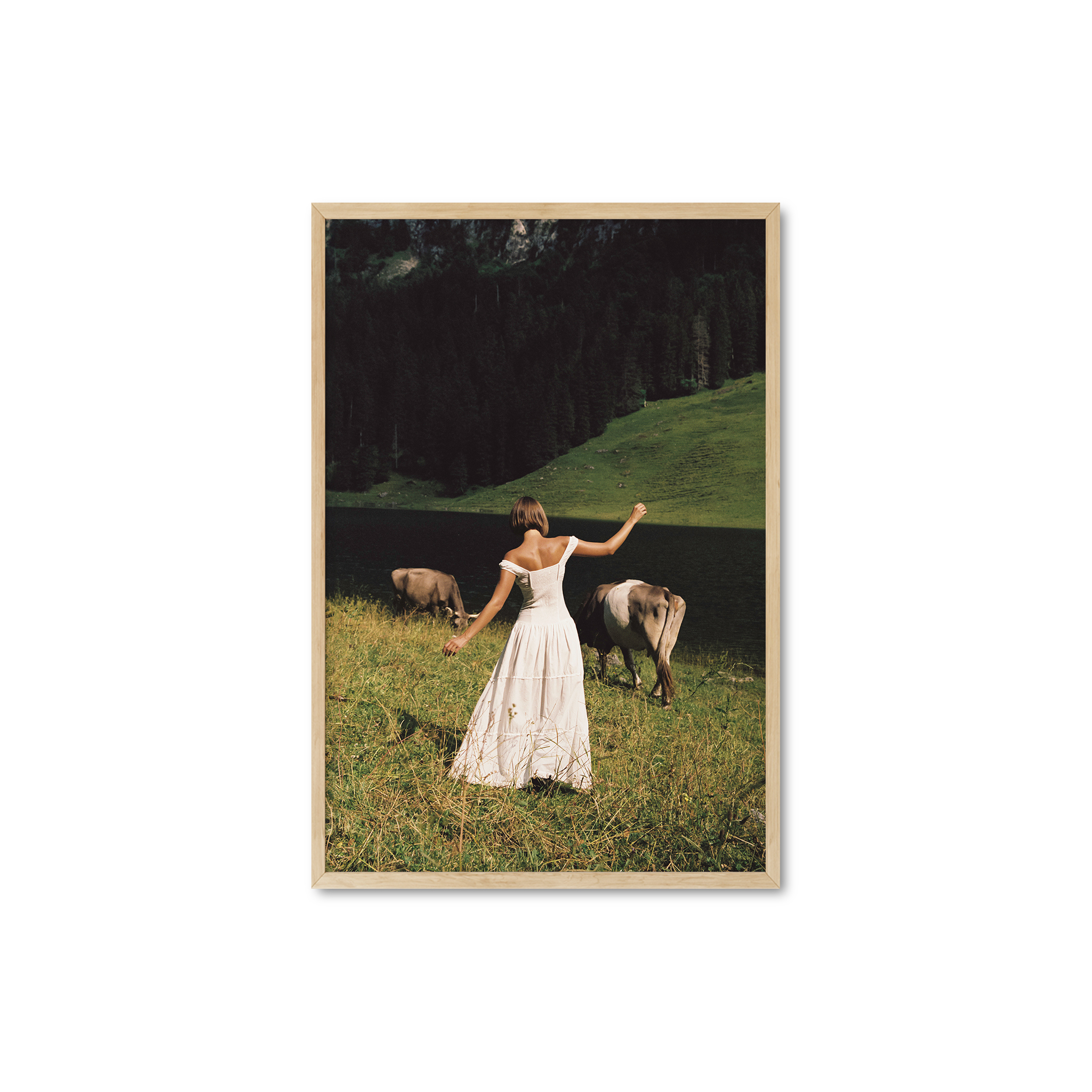 In the Meadow