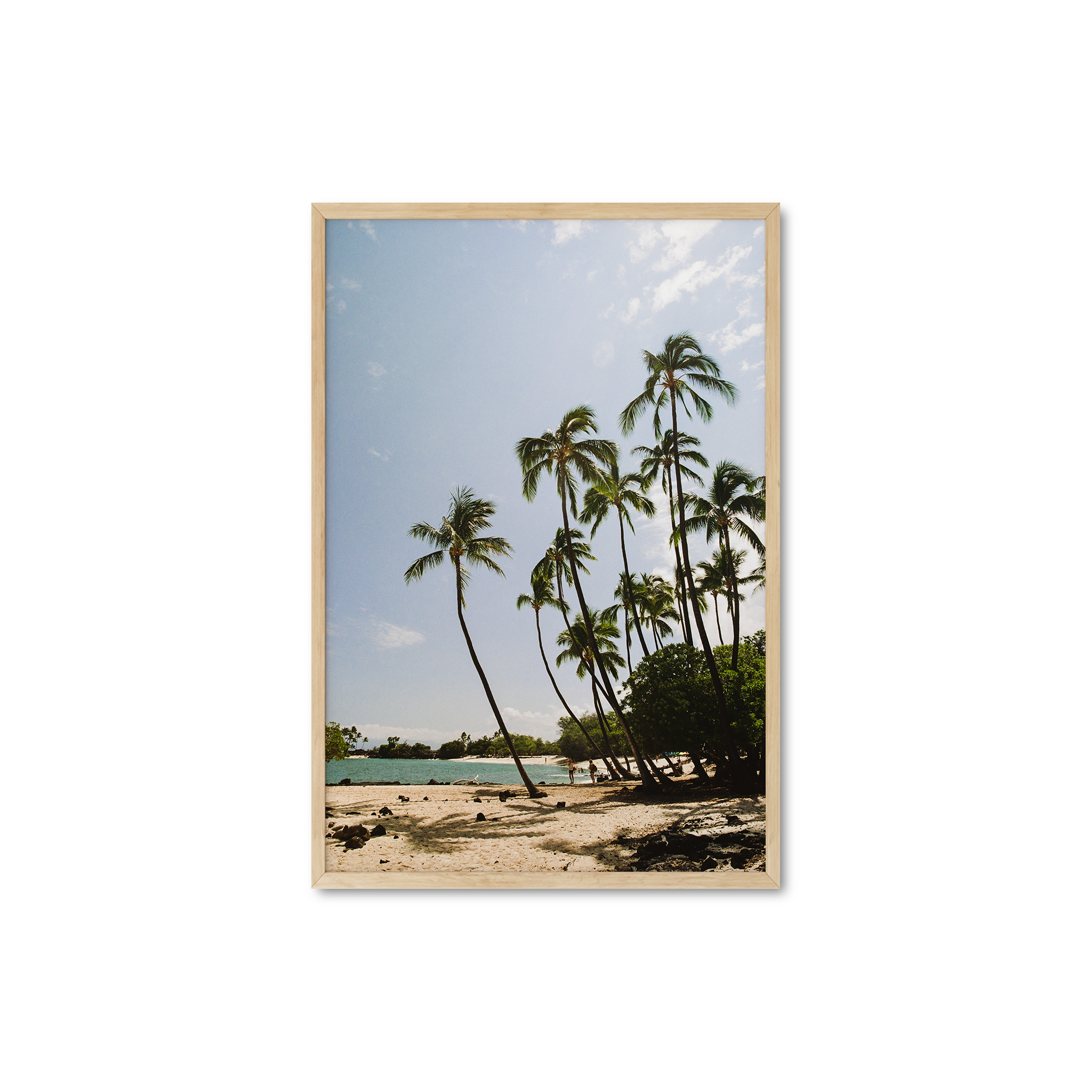 Lava Palms