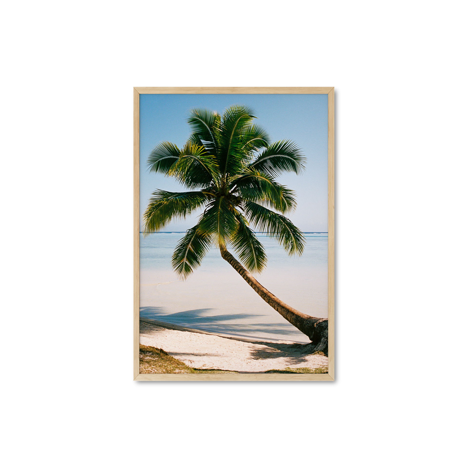 ニコニコさん。専用　SALOMON 18 Mirage Palm Tree ニコニコさん。専用 SALOMON 18 Mirage Palm Tree ニコニコさん。専用